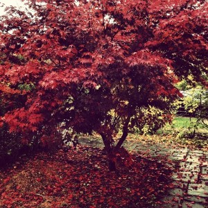 e8ac59d637e611e390e022000aeb0fa3_8