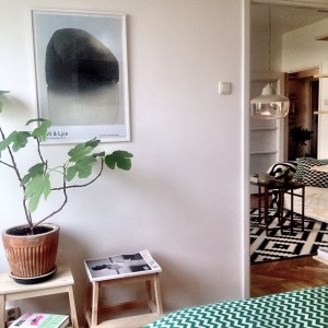 1de652eaca0f11e3b2290002c9d9b13c_8