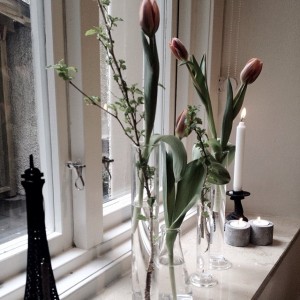 ecc3aa86c3a211e3a30b0002c9c80110_8