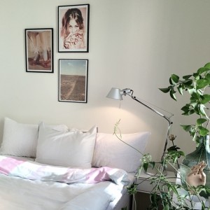 10349825_1453092578263065_1879359806_n