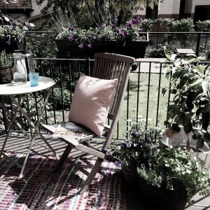 10349585_1475603539349721_825836391_n