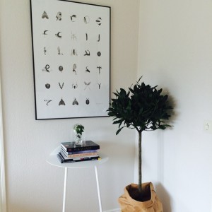 10499134_312569655579014_474090212_n