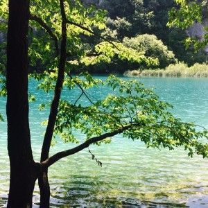 10513758_628255997288042_1766150979_n