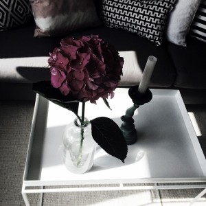 10520216_542782319161417_935476561_n