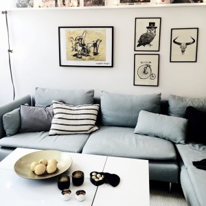 10535037_345669832257742_178020166_n