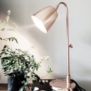 10584558_1516648395238269_2096790840_n