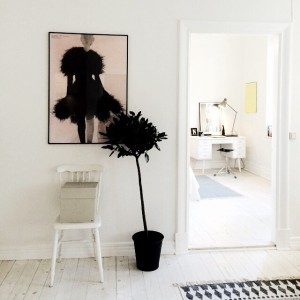 10693574_1512584728979453_236369998_n