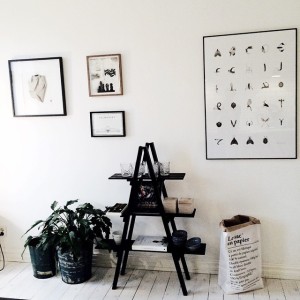 10731575_478177355658170_359646420_n