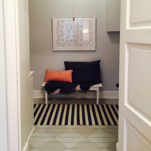 10735414_596782713780734_1554572811_n