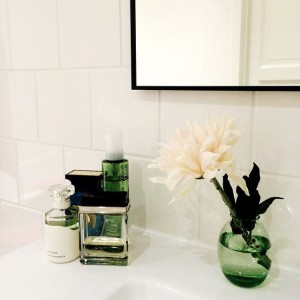 10735486_1517276971863406_121823438_n