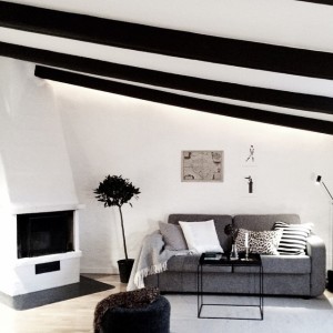 10723759_337901639731557_836306819_n