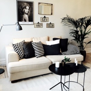 10802740_378005152376348_161446311_n