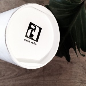 10808933_666840346763983_1336575341_n