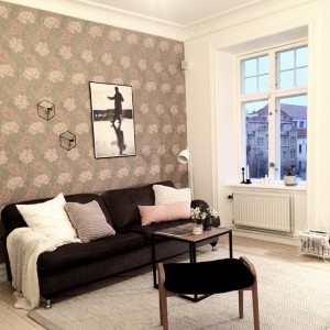 1922095_378542578976132_765464913_n