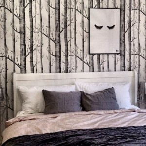 10831963_1506401486251227_777192863_n