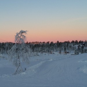 10865196_670654976365366_2101914830_n