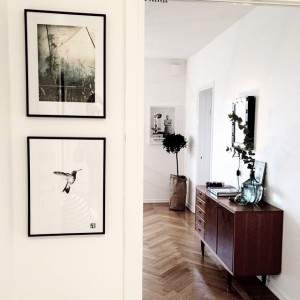 10899376_1551674095118923_2102192026_n