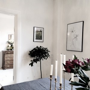 10919301_1552642268346023_1679776091_n