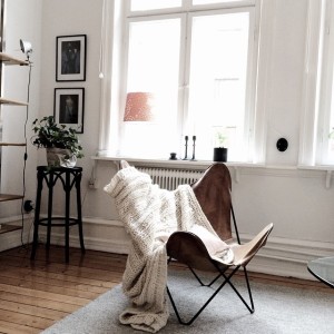 10919355_1546681398930855_782578510_n