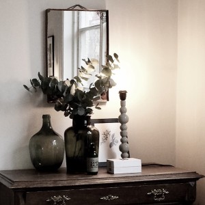 10950415_773882596031833_1771084033_n