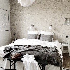 10986056_780949881954721_77070102_n