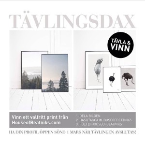 11004976_960190143999631_1930632809_n