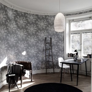 10986012_809485189088379_1759022943_n