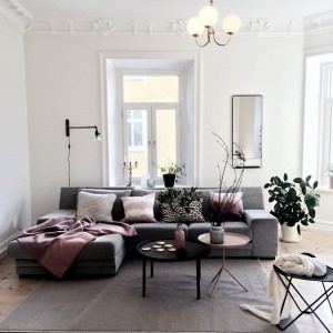 11007777_1601599260061961_1103240984_n