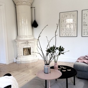 11032980_873752405996927_1096881282_n