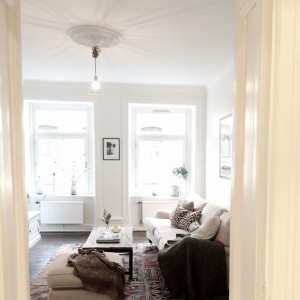 11193054_567481640060595_856714815_n