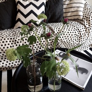 1168814_411807095688657_1468369744_n