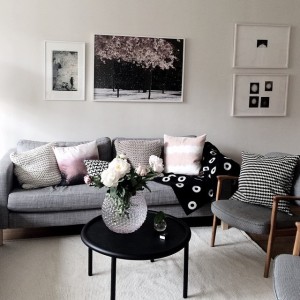 11280028_383853368490665_417414091_n