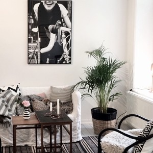 11334577_918429918213558_99661292_n