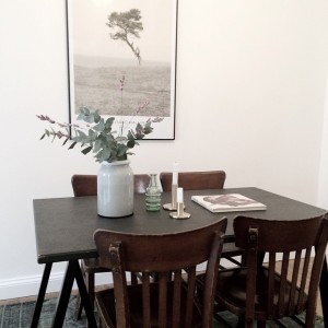 11377454_1054805057870803_1004854735_n