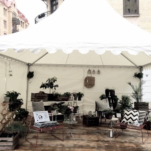 11378284_1401674066827239_84256688_n