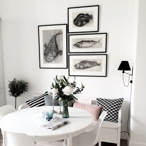 11247668_530916930379865_336134556_n