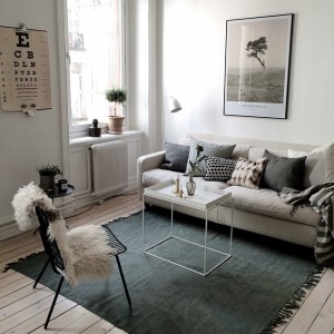 11325827_832522050158489_1189742483_n