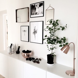 11357921_402352519960531_2145737905_n