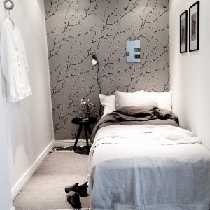 11378101_1654629268090829_636860096_n