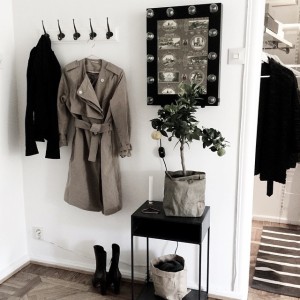 11386546_843501289070833_2015777207_n