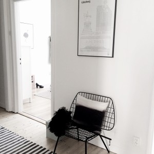 11420857_451188581729684_1260926587_n