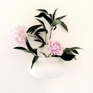 11428164_393189880868268_1454991931_n