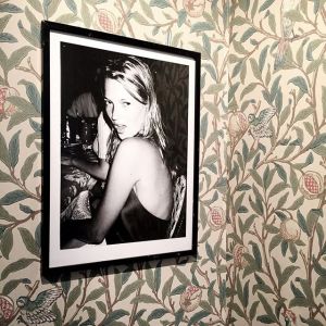 11821204_1622136438042745_47486859_n