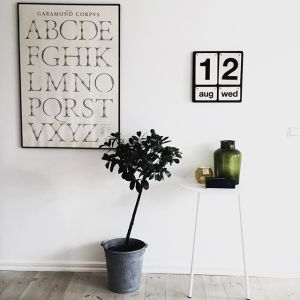 11906320_1022922221073538_530463397_n