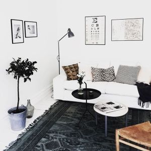 11939687_916596268386044_1373287868_n