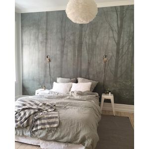 11849970_1514209632204319_2109855594_n