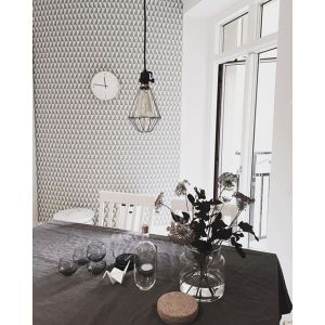 11374227_420070874865294_214006177_n