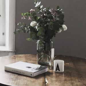 12142558_157082924641670_971764089_n