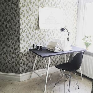 12144100_415423861982407_983175714_n