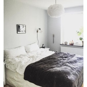 11372268_507697719406399_484664181_n